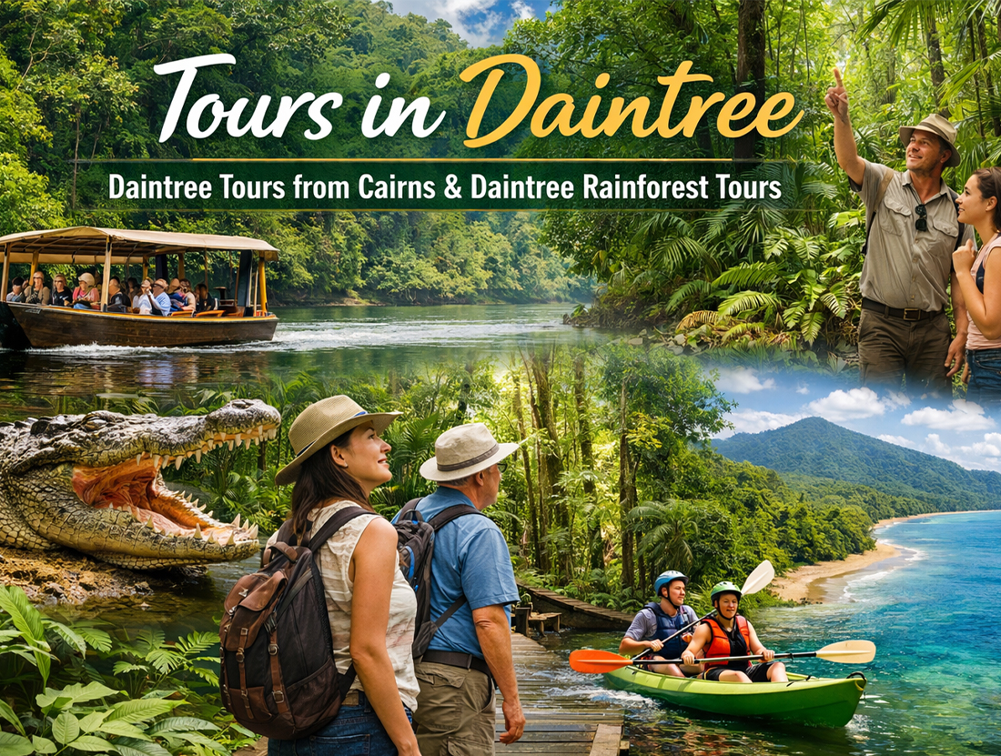 Tours in Daintree | Daintree Tours from Cairns & Daintree Rainforest Tours